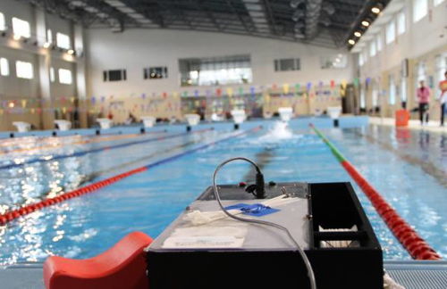 多图预警 镜头记录中国游泳队技术测试