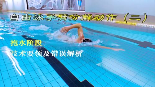 自由泳手臂分解动作 二 ,抱水阶段技术要领及错误动作解析